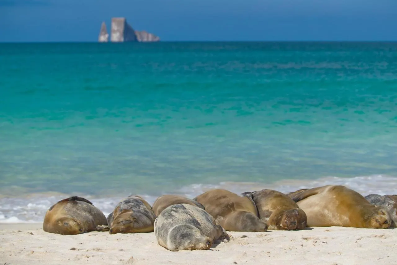 Apartmán Suite Cielo, Discover The Magic Of Galapagos Puerto Baquerizo Moreno